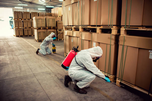 Best Bed Bug Extermination  in Mount Prospect, IL