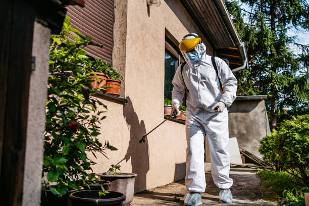 Bird Control in Mount Prospect, IL