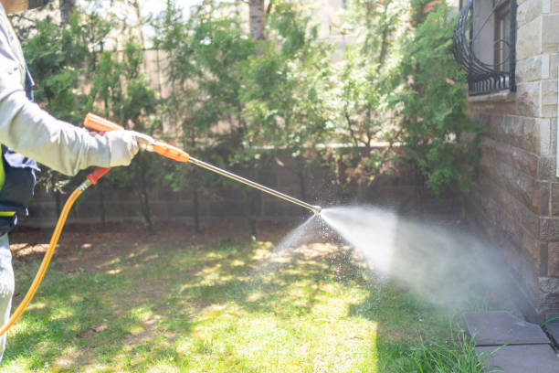 Best Commercial Pest Control Services  in Mount Prospect, IL